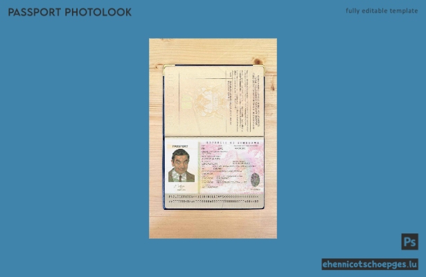 Beispielansicht eines Passfotos aus Simbabwe